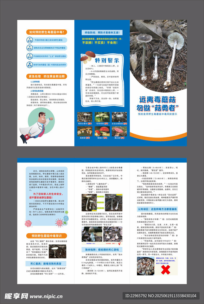 毒蘑菇折頁(yè)