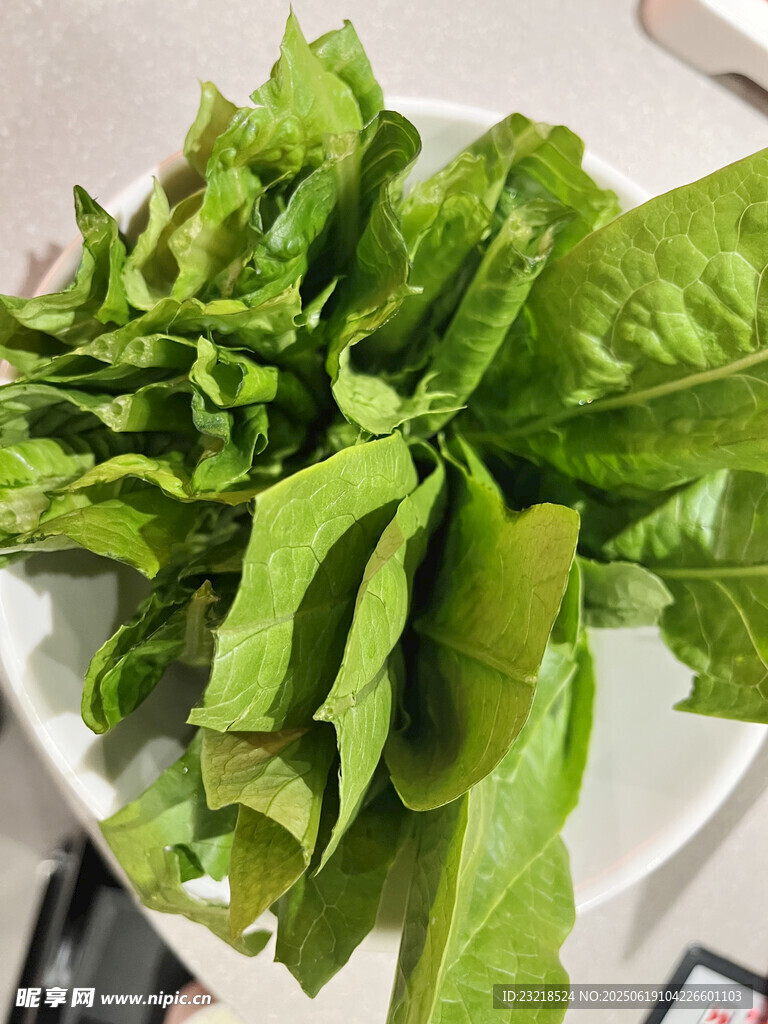 蔬菜