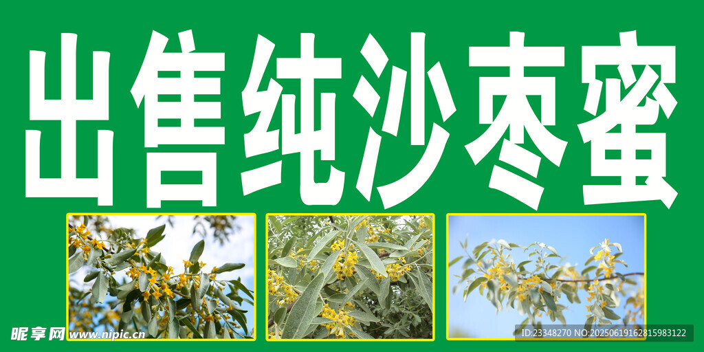 沙棗蜜
