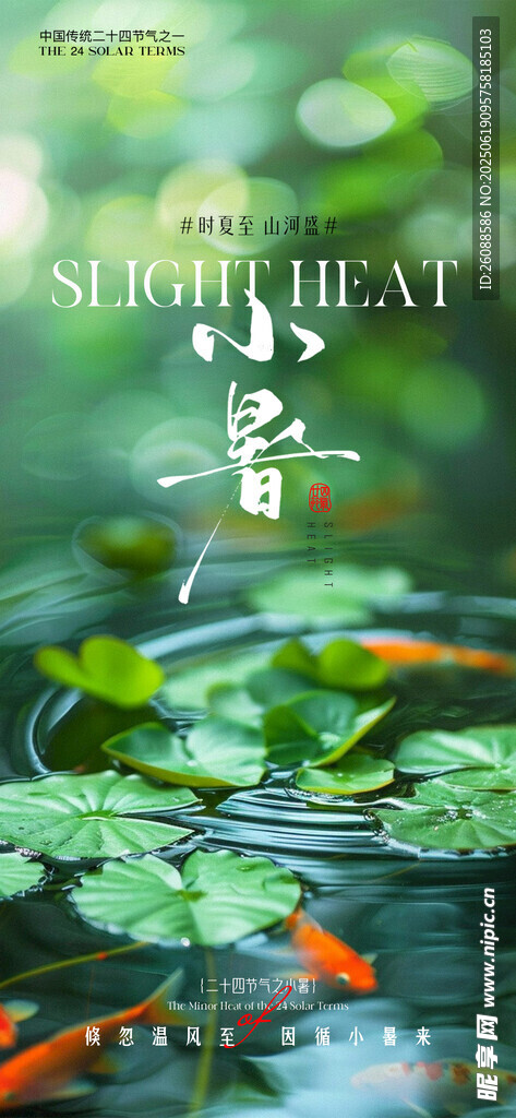 小暑大暑荷花荷葉節氣海報