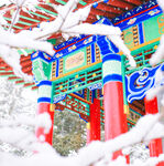 雪景