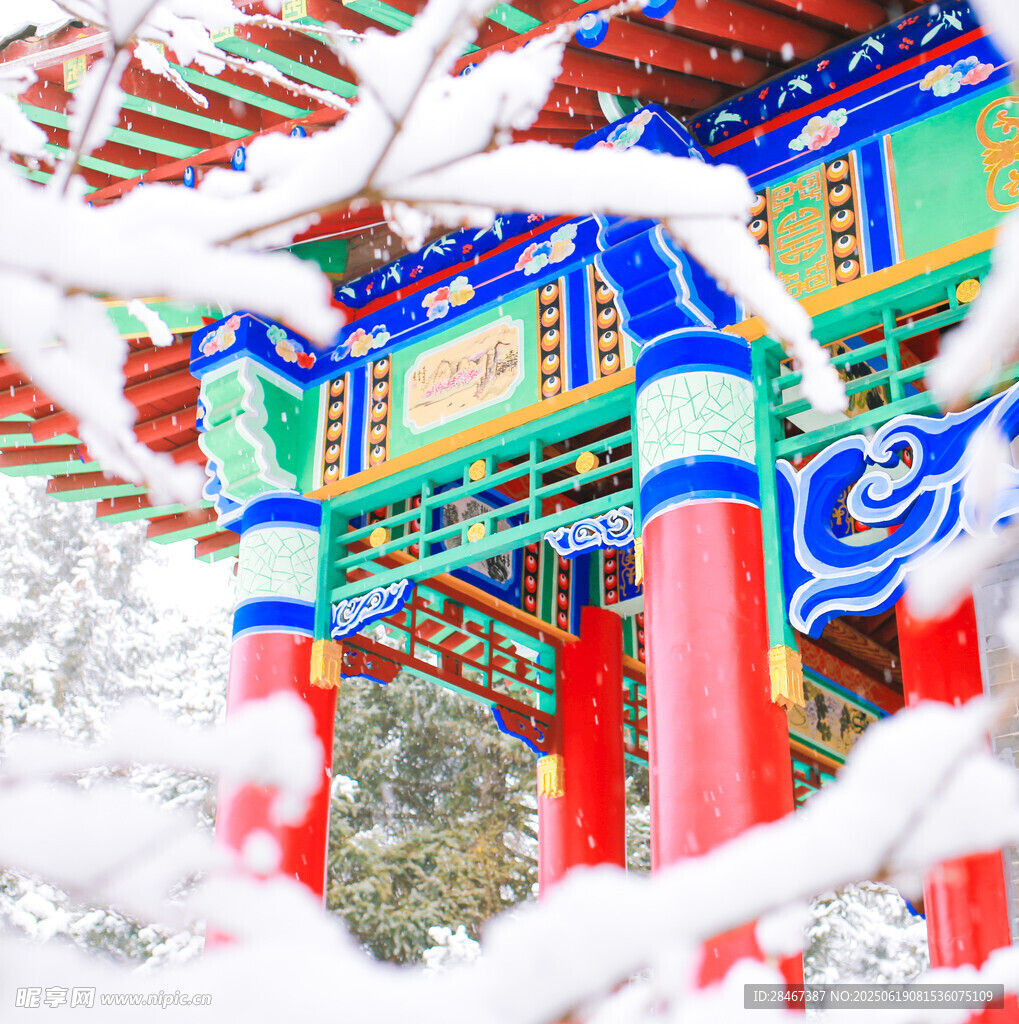 雪景
