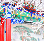 雪景