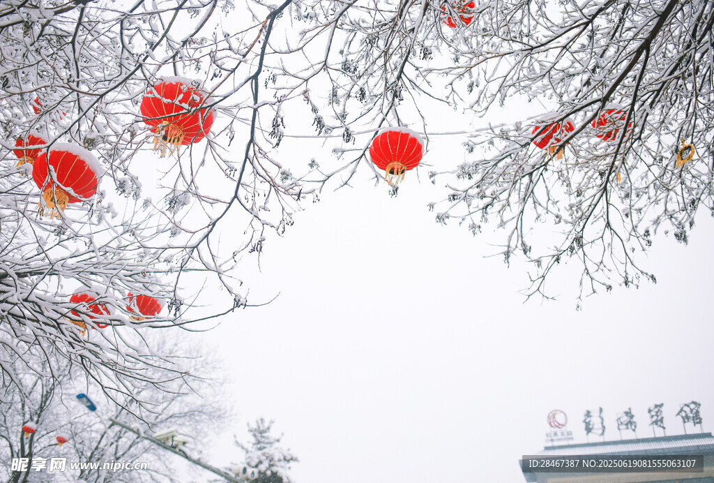 雪景