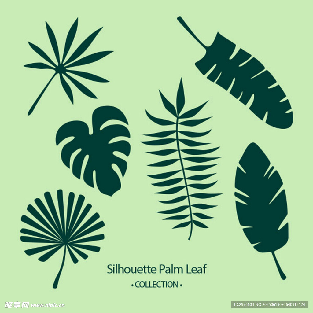 熱帶植物葉片矢量插畫