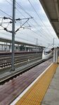 高鐵站臺上的高速列車