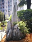 室內(nèi)假山綠植景觀擺件