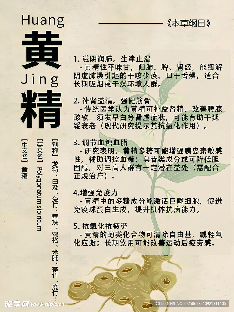 黃精