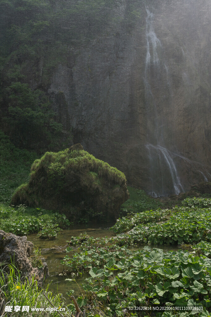 山間瀑布下的綠意景致