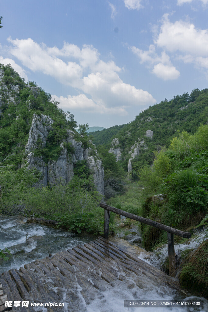山間溪流與蔥郁山林美景