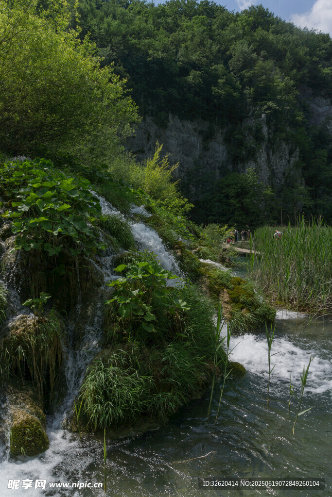 山間溪流瀑布綠植美景