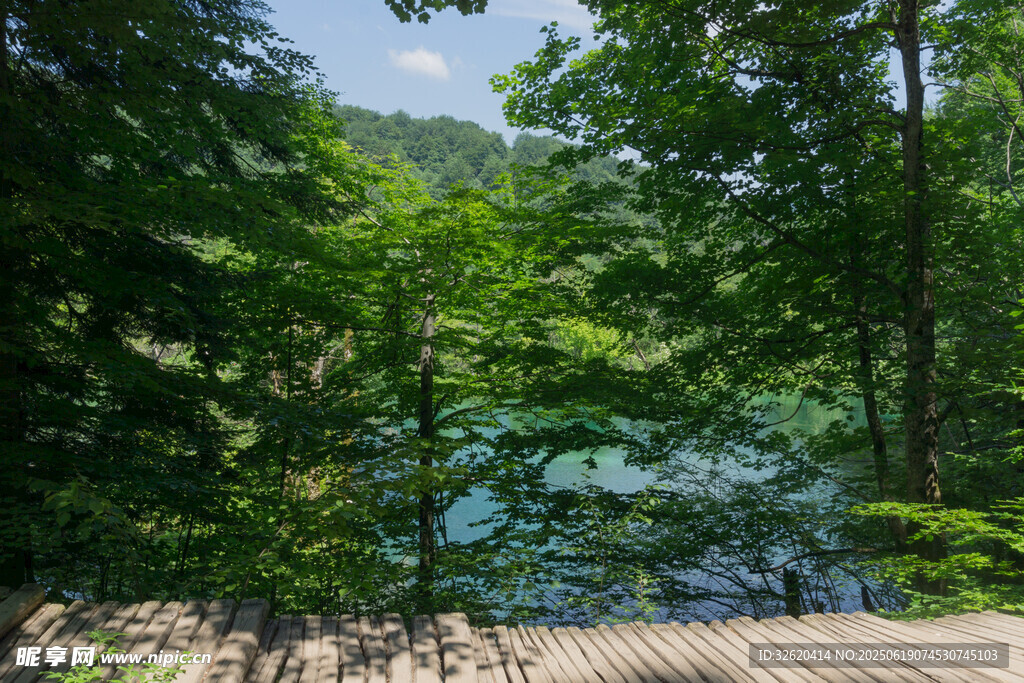 林間湖畔木棧道美景