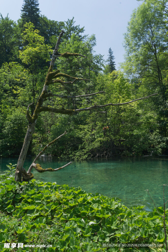 山林間的碧綠湖水