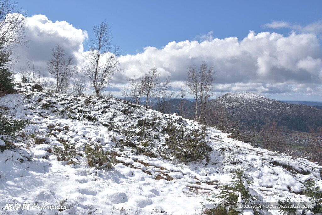 雪覆山巒的壯麗冬日景象