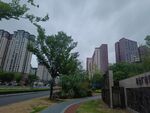 城市住宅區旁的綠樹道路