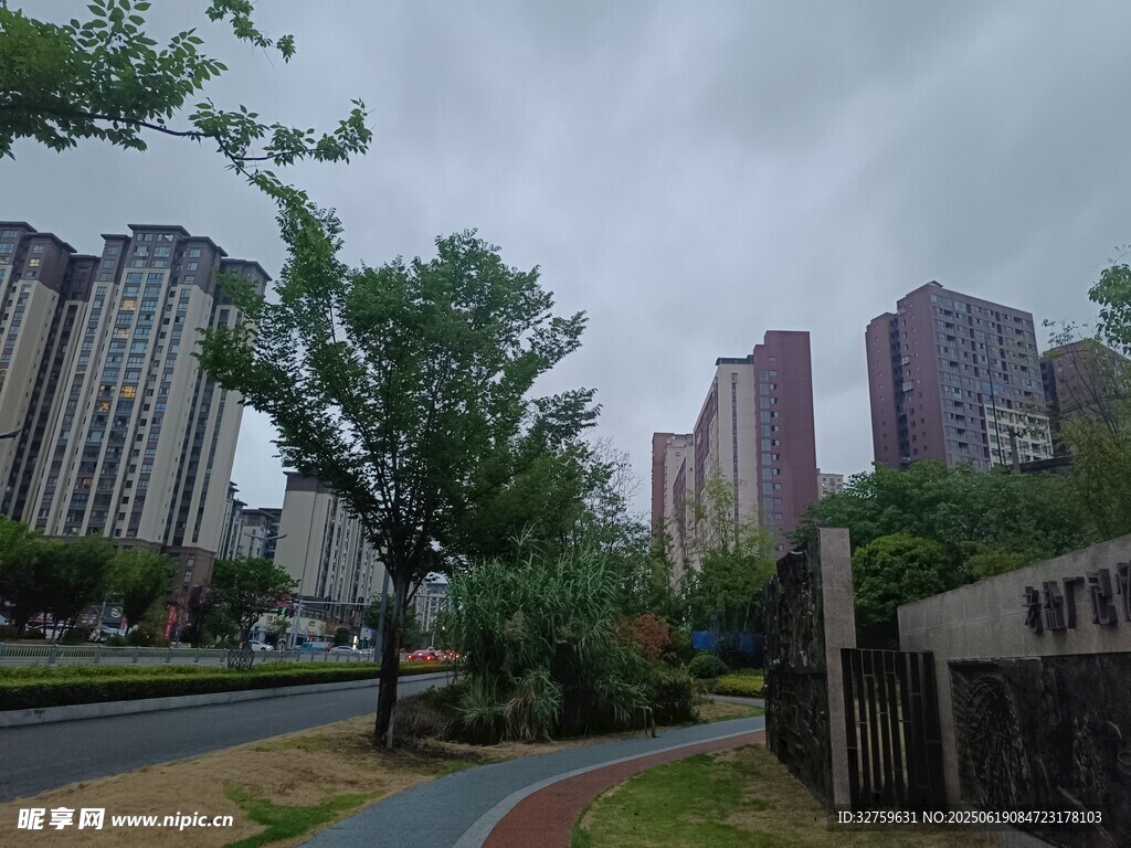 城市住宅區旁的綠樹道路