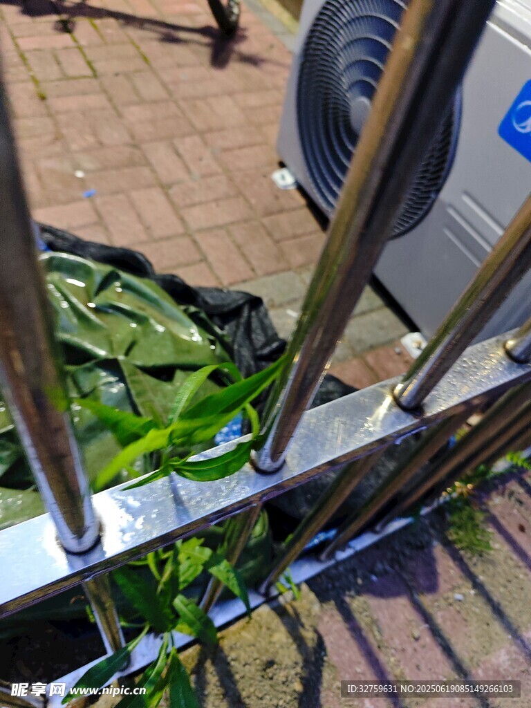 陽臺(tái)綠植生機(jī)盎然
