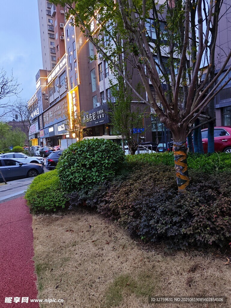 城市街邊綠植景觀