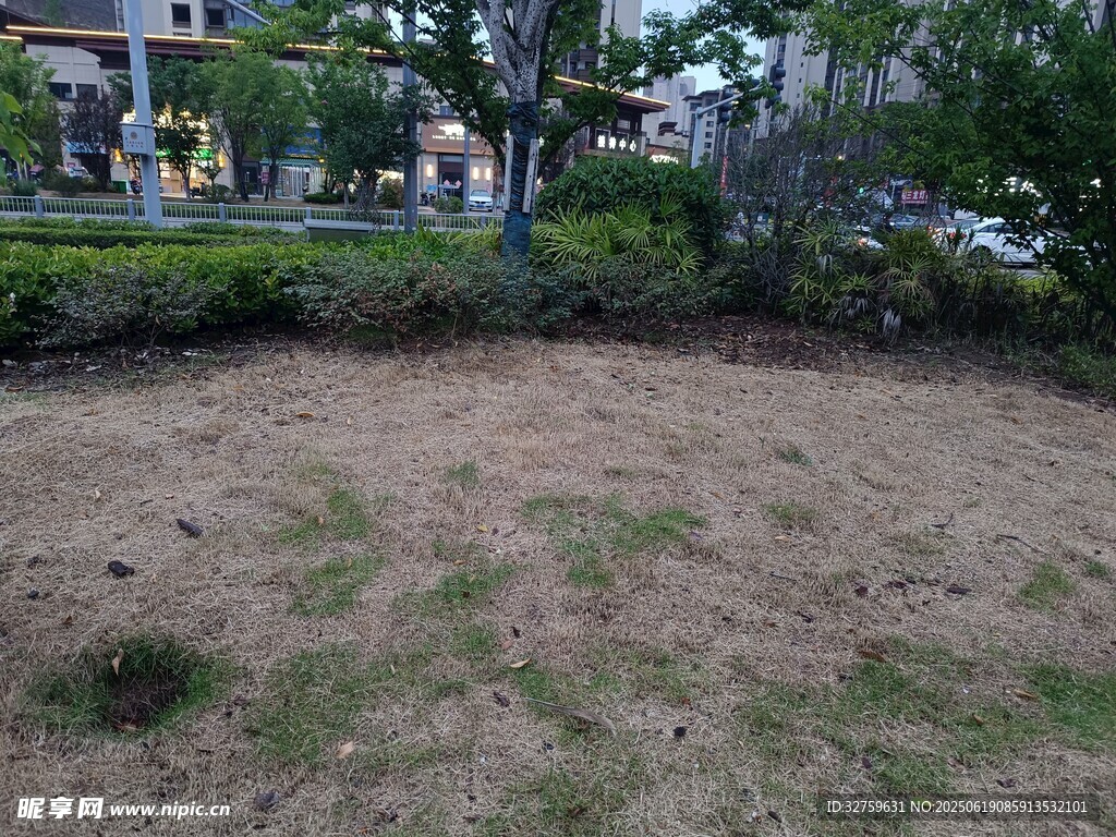 戶外空曠草地場景