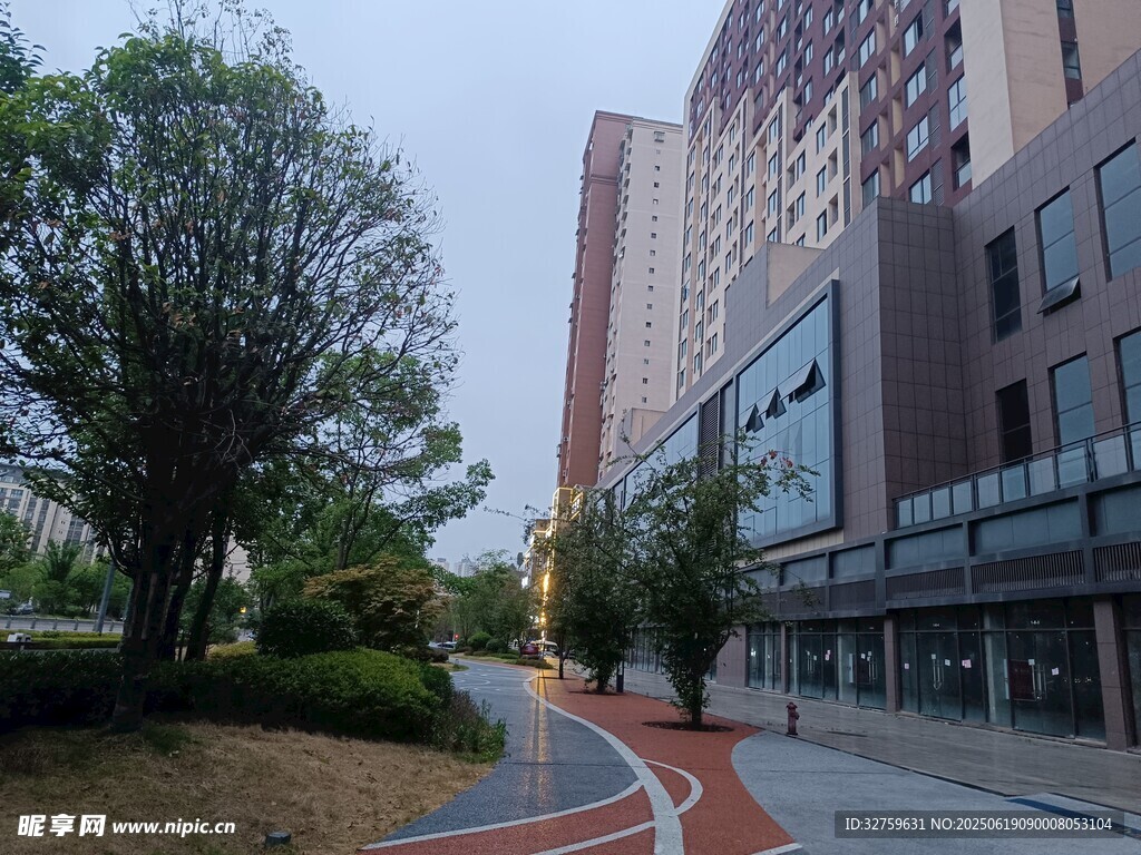 城市街道旁的綠樹與建筑