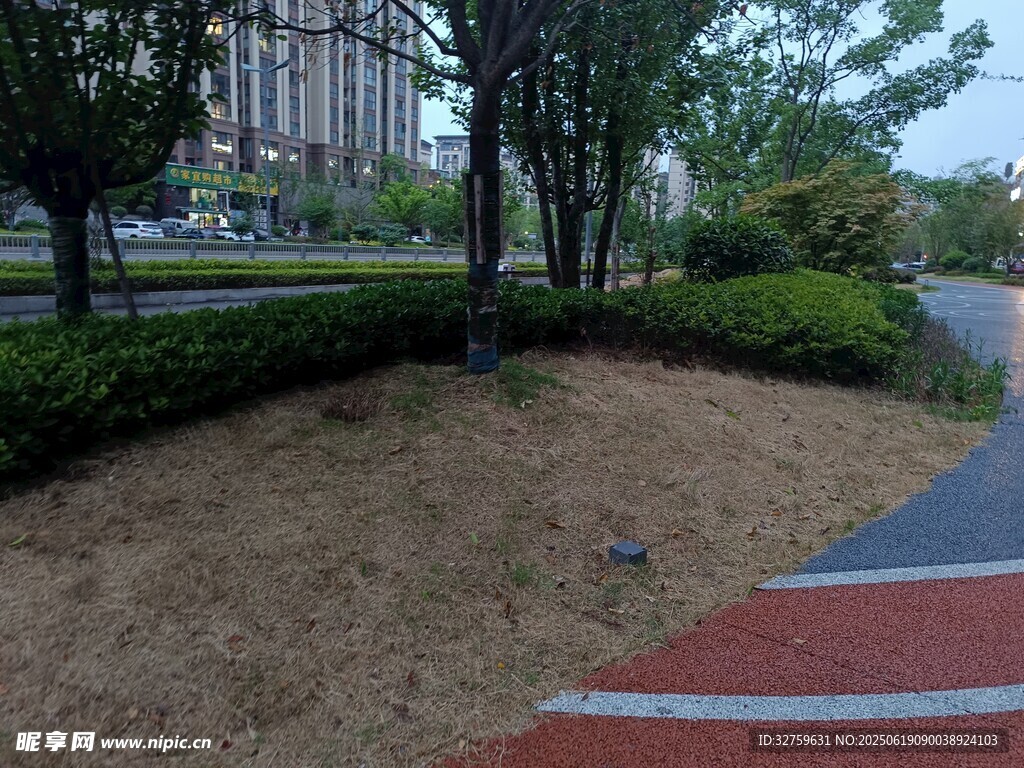 城市路邊的綠化景觀區(qū)域