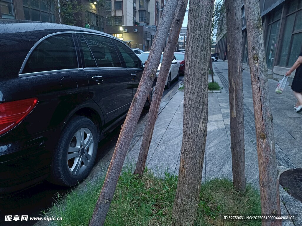 路邊樹木與停放的黑色汽車