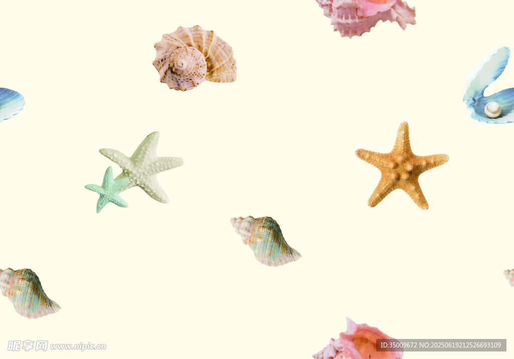 多彩貝殼與海星裝飾圖案