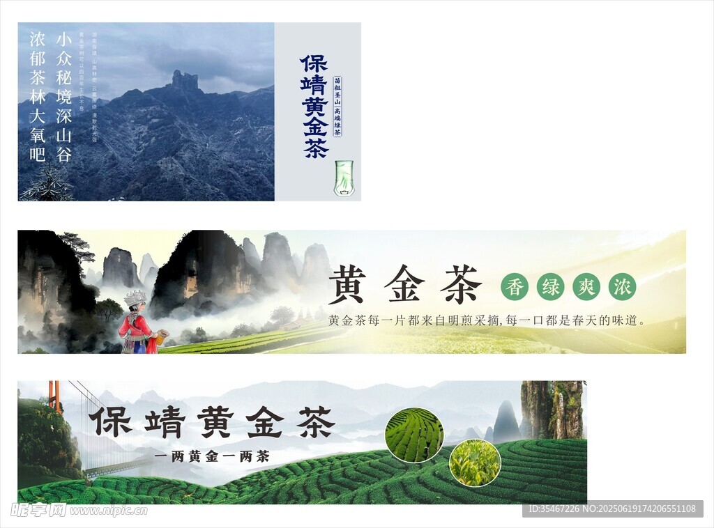 保靖黃金茶宣傳圖片展示
