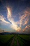 田野間的黃昏美景