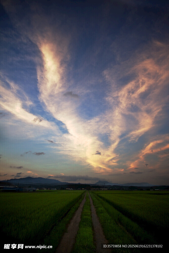 田野間的黃昏美景