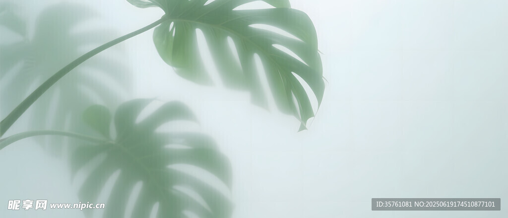 霧氣磨砂膜效果綠植貼圖