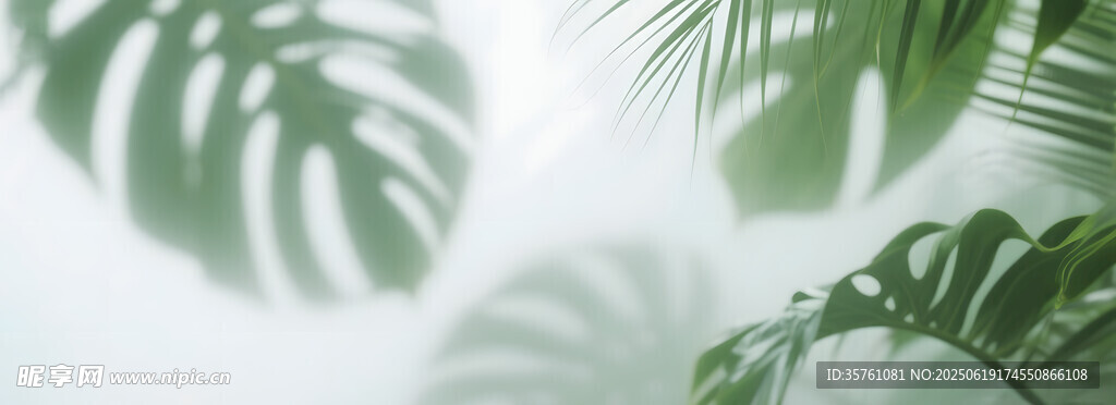 霧氣磨砂膜效果綠植貼圖