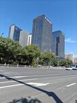 城市道路旁的高樓景觀
