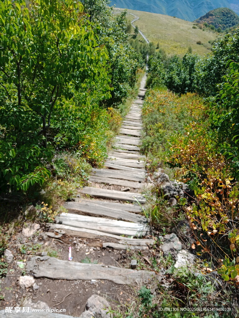 山間木棧道 漫步自然間