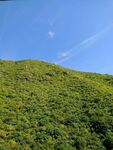 翠綠山坡藍(lán)天相伴