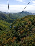 山間纜車穿梭于翠綠山林