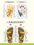 手腳經(jīng)穴部位圖