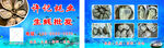 生蠔名片