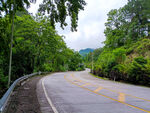 蜿蜒林間公路風景如畫