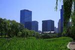 城市綠地旁的現代高樓景觀