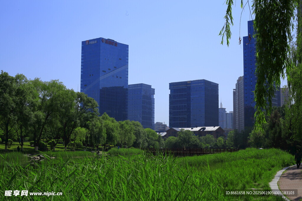 城市綠地旁的現代高樓景觀