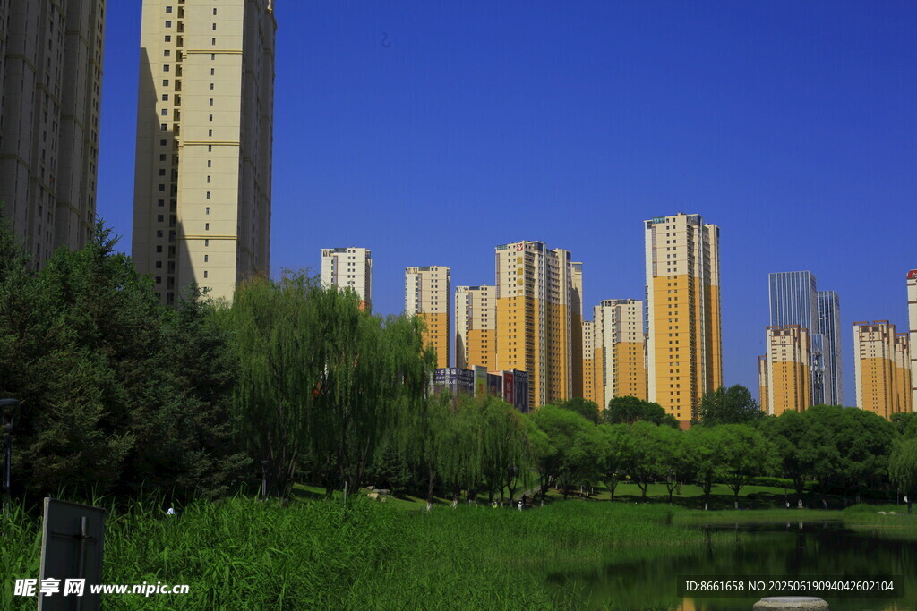 城市湖畔高樓與綠植景觀