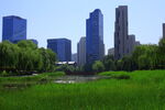 城市綠地與高樓景觀