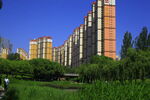 城市中的高層住宅與綠地