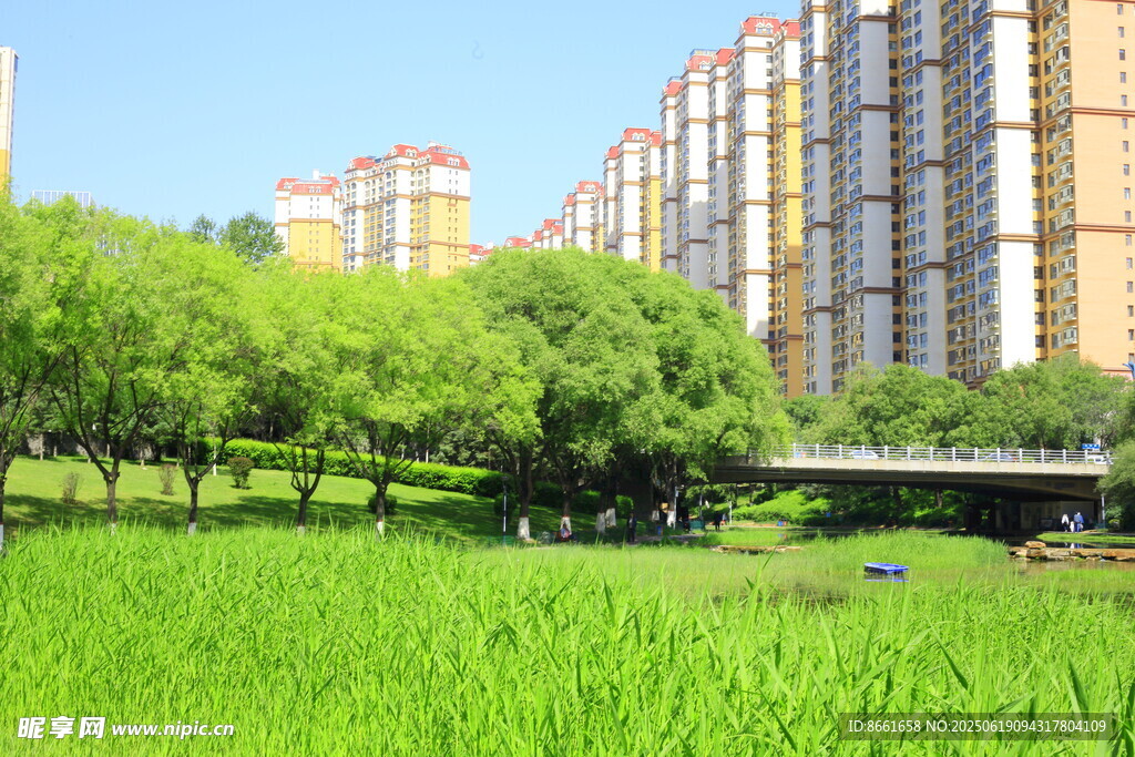 城市綠地旁的高樓景觀