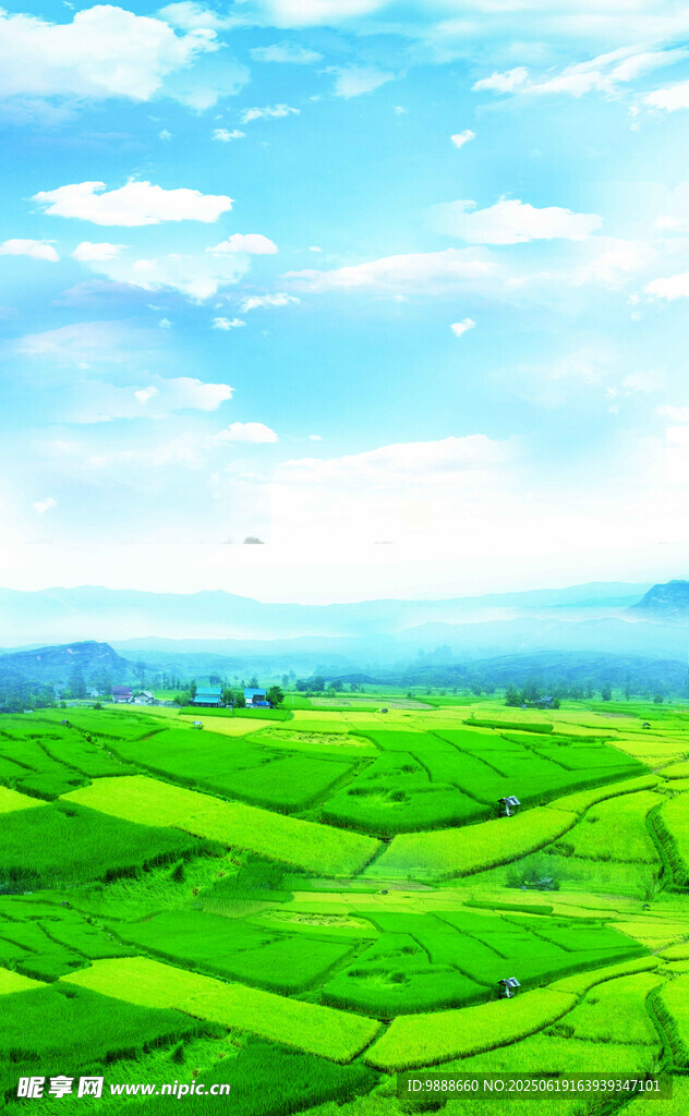 田野背景