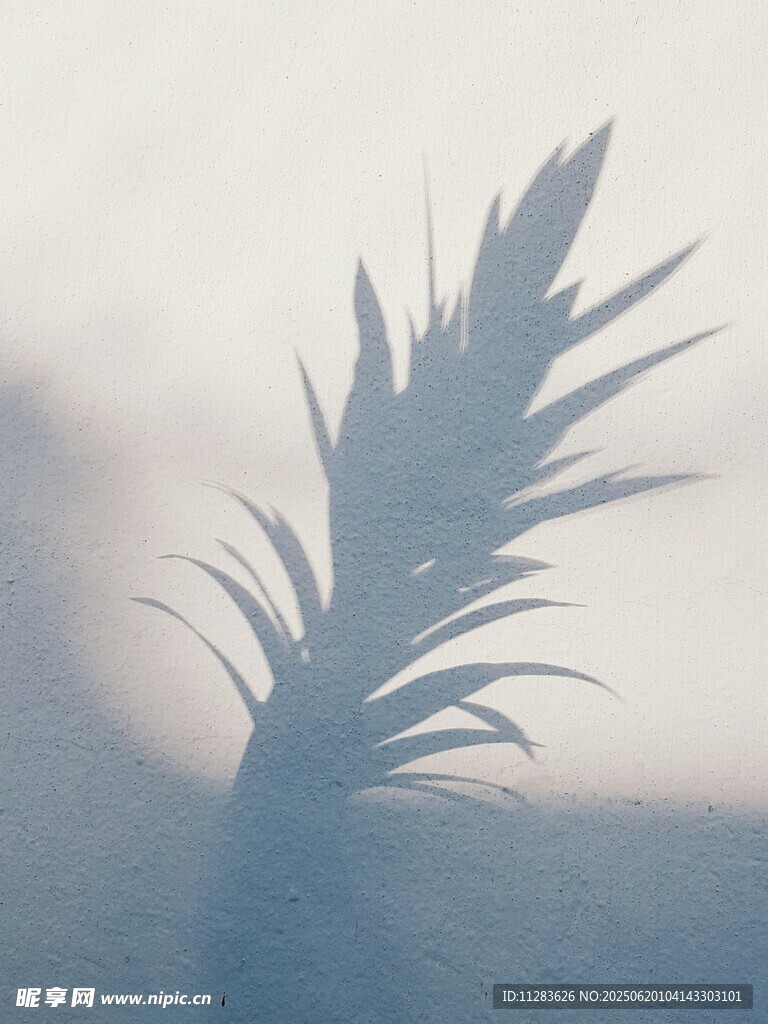 逆光中的植物葉片