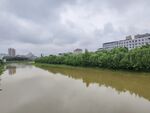 河畔綠樹映河水