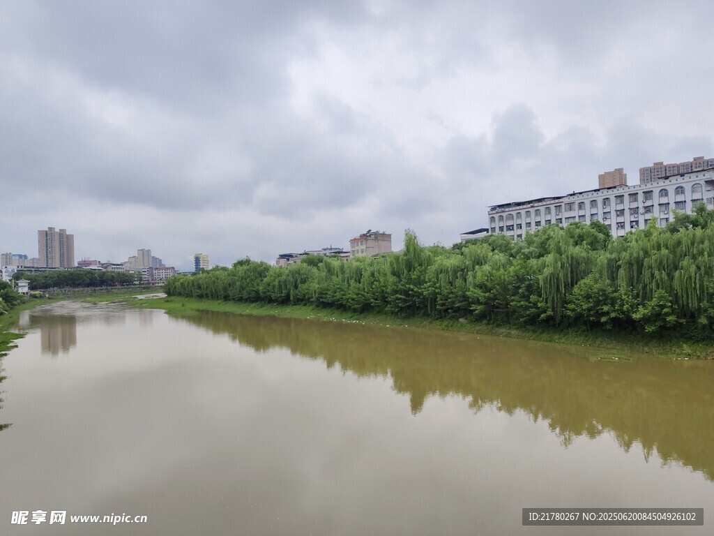 河畔綠樹映河水