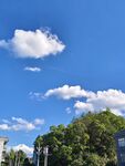 藍天綠樹風景圖